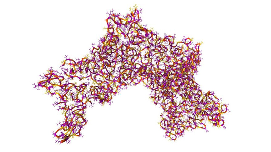 Elastin in Coralift 